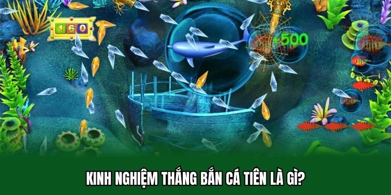 Bắn Cá Tiên Là Gì Và Những Mẹo Hay Người Chơi Nên Biết 3 Kinh nghiệm thắng bắn cá tiên là gì?