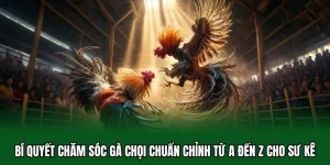 Bí quyết chăm sóc gà chọi