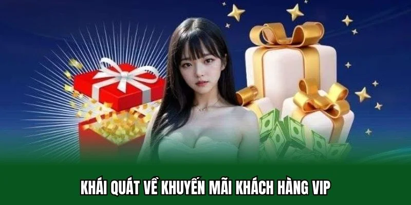 Khuyến Mãi Khách Hàng VIP 1 Khái quát về khuyến mãi khách hàng VIP