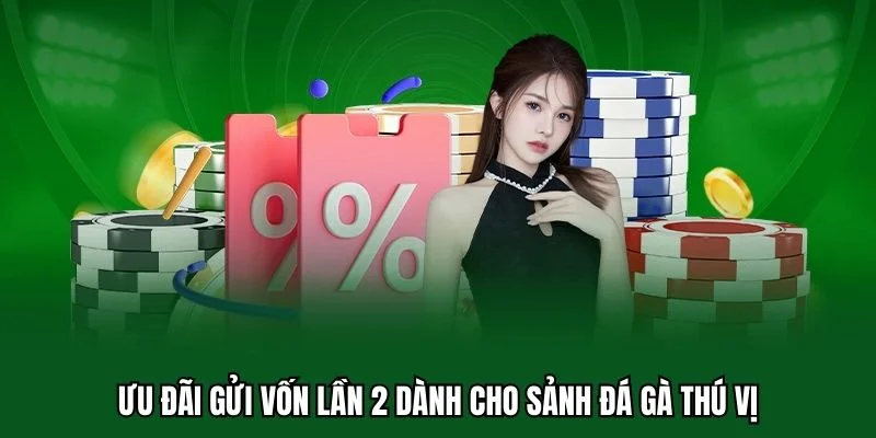 Khuyến Mãi Nạp Lần 2 3 Ưu đãi gửi vốn lần 2 dành cho sảnh đá gà thú vị