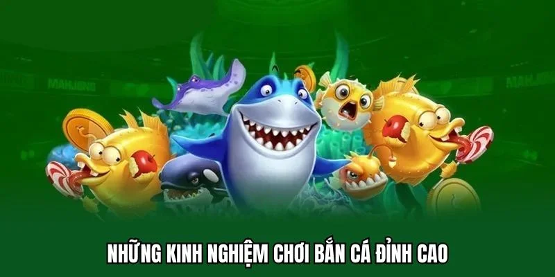 Kinh Nghiệm Chơi Bắn Cá Mà Anh Em Không Nên Bỏ Qua 3 Những kinh nghiệm chơi bắn cá đỉnh cao
