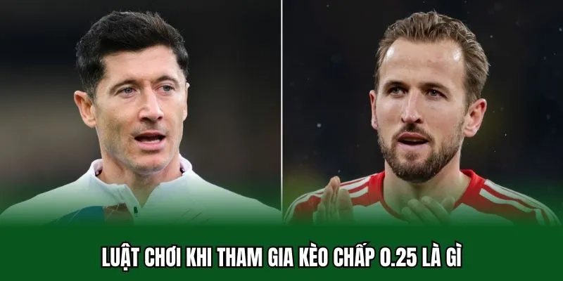 Kèo Chấp 0.25 Là Gì - Lý Giải Chuẩn Xác Nhất Cược Handicap 1 Luật chơi khi tham gia kèo chấp 0.25 là gì