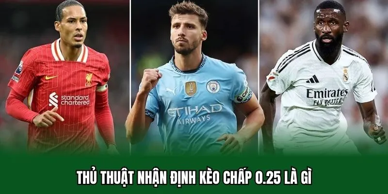 Kèo Chấp 0.25 Là Gì - Lý Giải Chuẩn Xác Nhất Cược Handicap 3 Thủ thuật nhận định kèo chấp 0.25 là gì